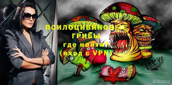 молекула духа Аркадак
