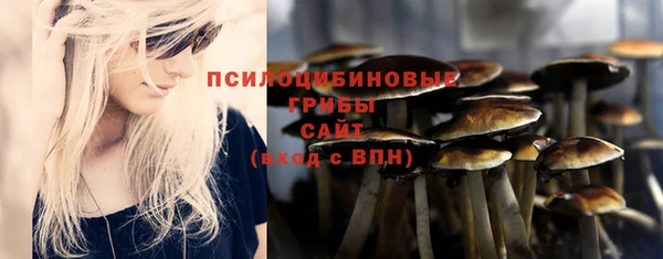 a pvp Алексин