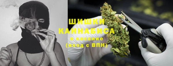 бошки Арсеньев