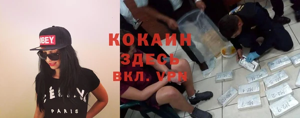 бошки Арсеньев
