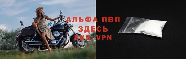 apvp Алзамай