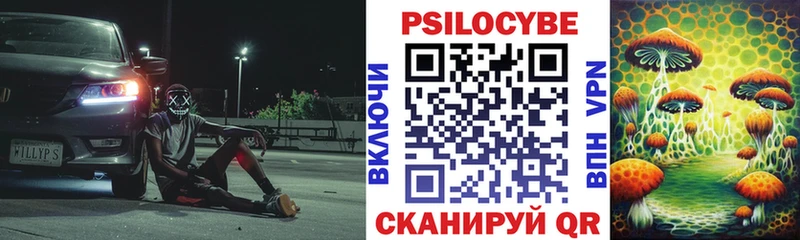 Псилоцибиновые грибы Psilocybe  Набережные Челны 