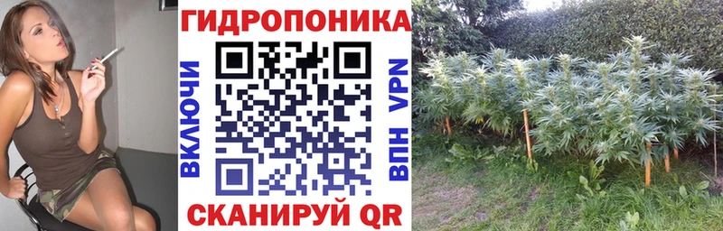 Конопля VHQ  Набережные Челны 